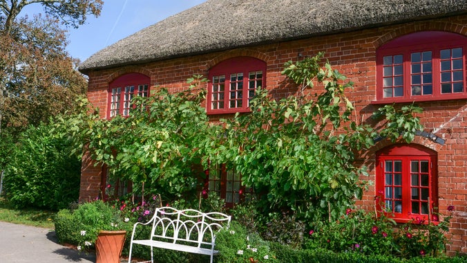View of the Barn at A la Ronde, Devon, with bench in front and plants growing across its front.
